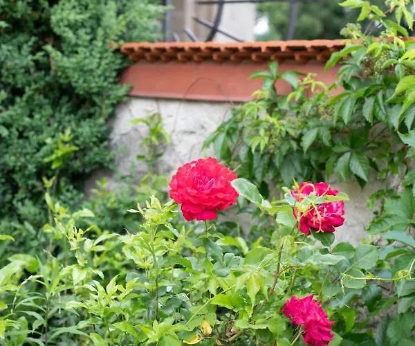 Zum Goldenen Hirschen 호텔 3*