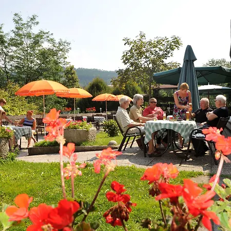 Zum Goldenen Hirschen 3* Фрайштадт