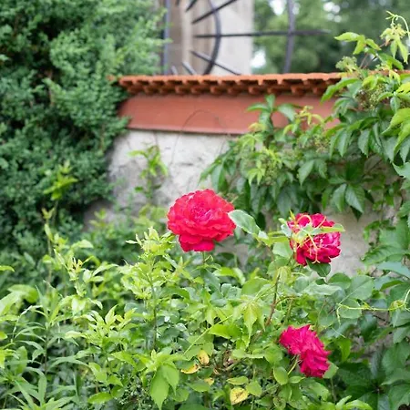 Zum Goldenen Hirschen Отель 3*