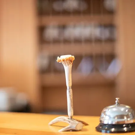 Zum Goldenen Hirschen Отель Фрайштадт