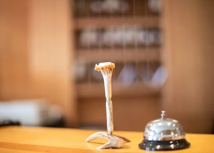 Zum Goldenen Hirschen Hotel Freistadt